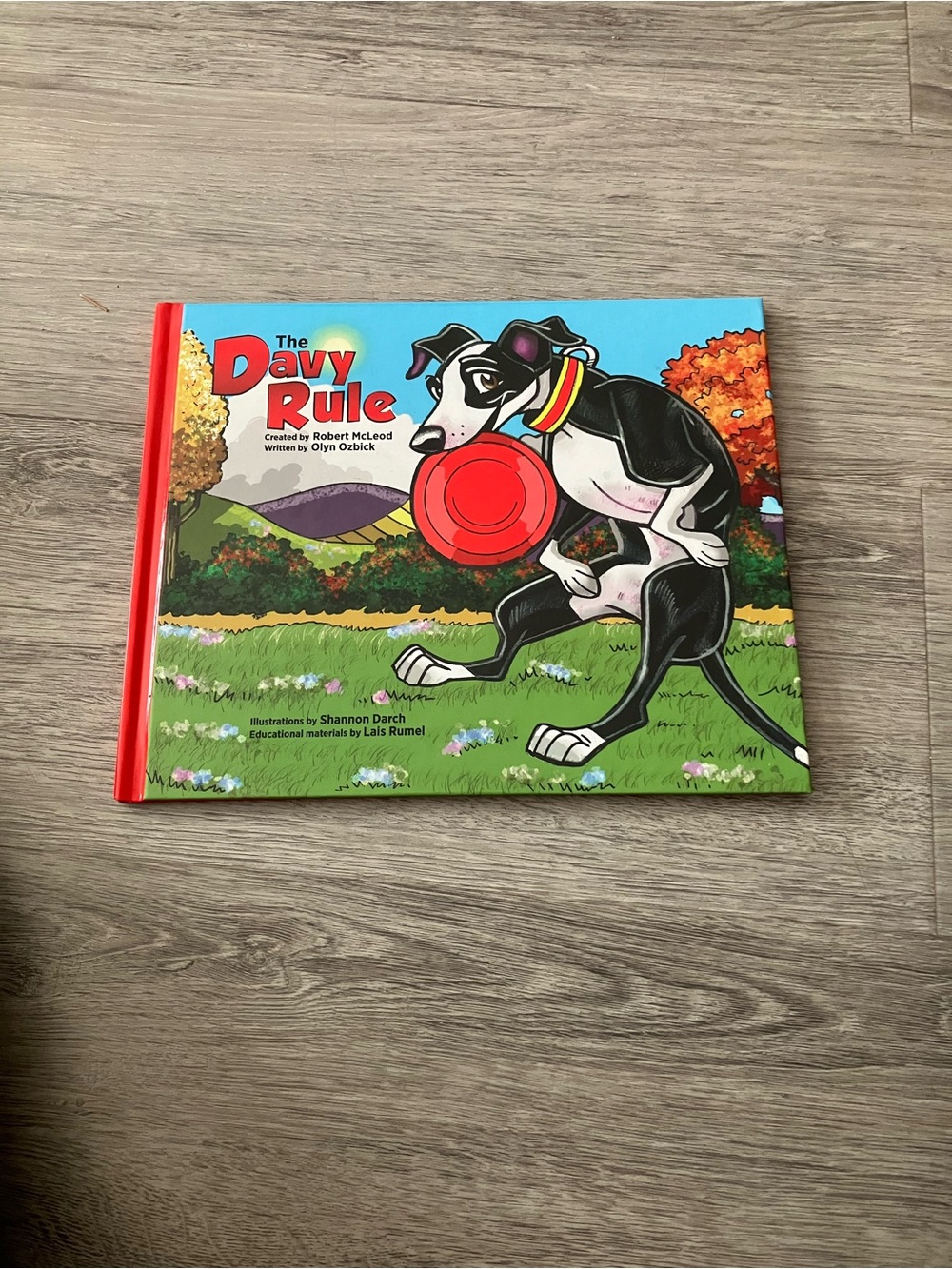 3/$15 The Davy Rule Children's Book - Colorful Hardcover with Dog Cover Art